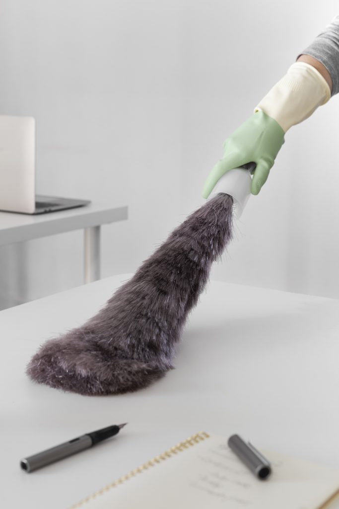 Pet-Friendly House Cleaning Services